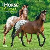 Horse Lovers 2027 7 X 14 Inch (Hanging) Monthly Mini Wall Calendar