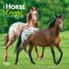 Horse Lovers 2027 7 X 14 Inch (Hanging) Monthly Mini Wall Calendar