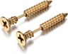 LGT JWLS LGT Jewels Schroef oorbellen Goudkleurig