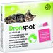 Bayer Dronspot Kat (2,5kg-5kg) 2 pipetten
