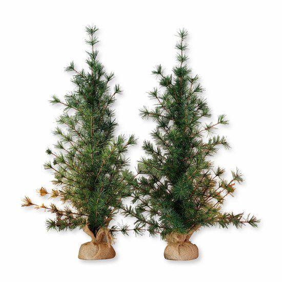 LOBERON Sierboom set van 2 Bohicon groen/bruin
