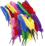 Merkloos Sierveren/hobby veertjes - 72x - multi kleuren - 19-21 cm - decoratie/hobbymateriaal