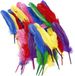 Merkloos Sierveren/hobby veertjes - 72x - multi kleuren - 19-21 cm - decoratie/hobbymateriaal