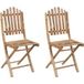Maison Exclusive - Chaise pliante (lot de 2) avec coussin en bambou