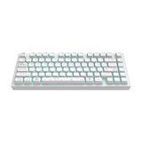 Dark Project - ALU Terra Nova - Draadloos Mechanisch Gaming Toetsenbord ANSI (ENG) - Wit