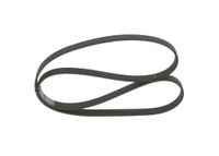 BOSCH Keilrippenriemen 1987947554