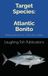 Target Atlantic Bonito: Mastering the Hunt for a Swift Silver Predator