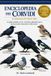 Enciclopedia Bol Enciclopedia dei Corvidi (Il Manuale Tutto in Uno)