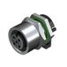 Weidmüller SAIE-M12B-5S-H5.5TL