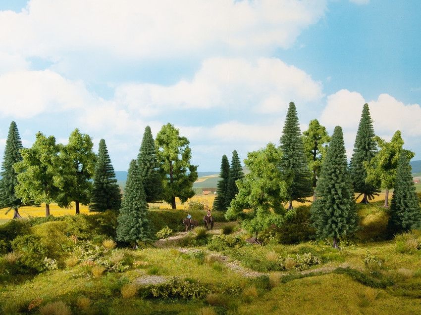 NOCH Mixed Forest