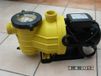 Werka Bol Zwembadpomp Premium ECO 0,75 Ps