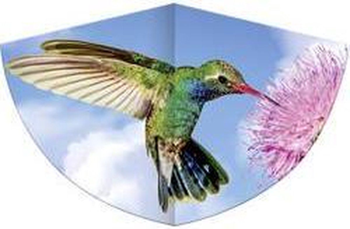 Günther Flugspiele Kolibri Vlieger - 750 mm - Multicolor