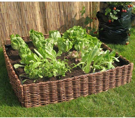 Intergard Moestuinbak plantenbak wilgen 100x100x40cm