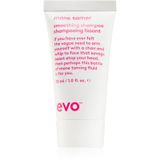 EVO Mane Tamer Smoothing Shampoo
