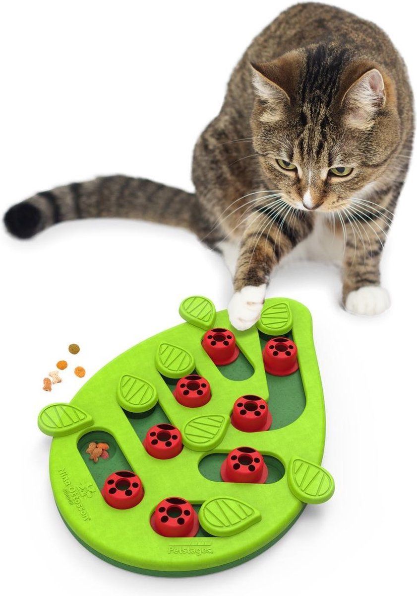 Petstages Nina Ottosson Puzzle & Play Buggin Out - Groen - 35x26x4 cm