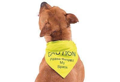 Ancol Hi Vis Waarschuwing Bewustzijn Hond Bandana Nek Sjaal Medium/Large
