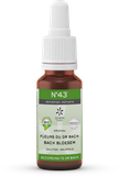 Bach Bloesem mélange 43 motivation bio 20 millilitres