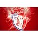 Lille Papier Peint Panoramique Foot / Football - Losc - Lille - 130 cm x 81 cm