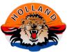 Boland Wanddecoratie Oranje Leeuw Holland - 65x85 Cm - EK/WK Voetbal - Koningsdag