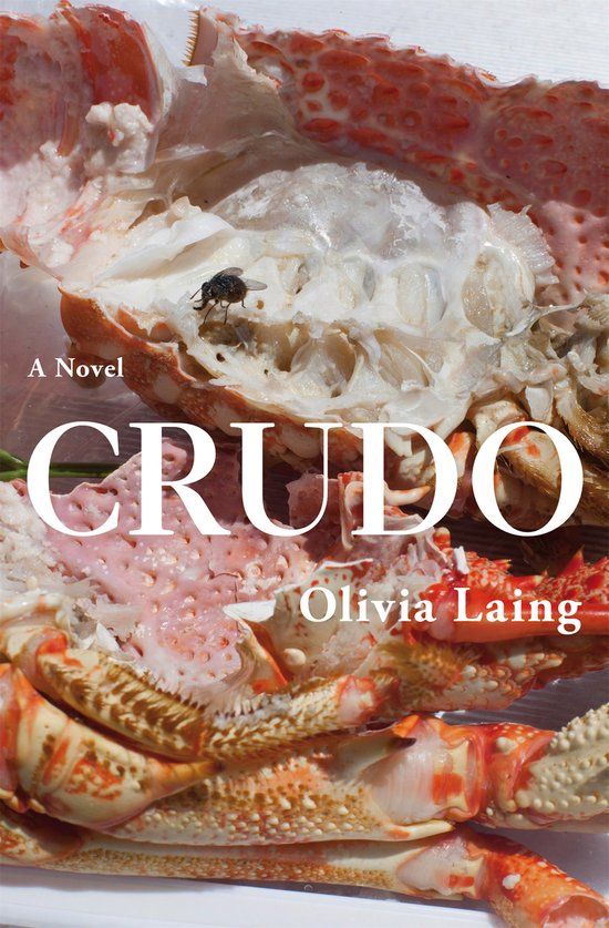 Picador Crudo: Olivia Laing - Hardcover - Engels