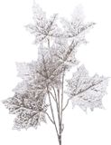 Decoris Kaemingk Tak pes skeletblad l47b7h85 cm zilver kerstboomversiering kerst Decoris