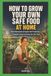 How Libri GmbH Urban Greenhouse- How to Grow Your Own Safe Food at Home