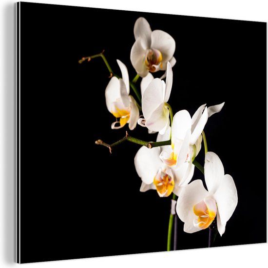 MuchoWow Wanddecoratie Metaal - Aluminium Schilderij Industrieel - Orchidee - Bloemen - Planten - Botanisch - 120x90 cm - Dibond - Foto op aluminium - Industriële muurdecoratie - Voor de woonkamer/slaapkamer