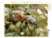 CALVENDO Puzzel met motief uit de kalender, de fantastische wereld van steampunk-insecten, 1000 stukjes, legformaat 64 x 48 cm, fotopuzzel voor gelukkige uren