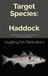 Target Haddock: Mastering the Art and Science of Haddock Fishing