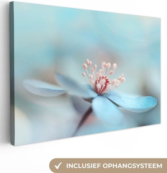 OneMillionCanvasses Canvas Wall Art - Floral Print - Blue, Red, and Plants - 60x40 cm - Rectangle