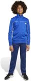 Adidas Tricot Colour Pop Trainingspak Blauw 13-14 Years Kinderen