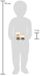 Small Foot Houten Lettertrein Polar Locomotief Wit