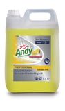 Andy Pro Formula Andy Allesreiniger Citroen Fris 5 L - Groen