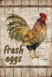 Schatzmix Fresh Eggs gockel metalen bord wanddecoratie 20x30 cm tin sign blikken bord, blik, meerkleurig