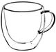 StarTech Thee- en koffieglazen - Dubbelwandige isolerende glazen - 250 ml - Glas - Set van 6