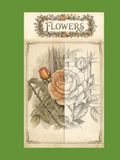 Flowers: Colour by Example Book for Adults
