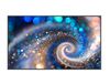 Philips 65BDL2050A/00 65-inch 4K Ultra HD LCD Digitale Signage Flatscreen Zwart