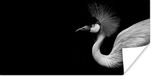 Affiche Grue - Noir - Blanc - Oiseau - Animaux - 120x60 cm