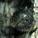 La Yann Tiersen - The Waltz Of The Monsters (LP) (Remastered)