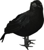 Fiestas Guirca Nep Kraai/Raaf 25 cm - Zwart - Halloween Horror Decoratie