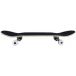 MAGNET Skateboard Complet Taiko 7.5