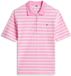 Tommy Hilfiger Dames Polo Korte Mouw Katoen Elastaan M Roze/Wit