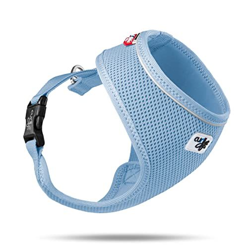 Basic Curli Basic Harness Air-Mesh Skyblue S