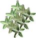 Decoris kersthanger sterren - 12x st - groen - 7 cm - kunststof