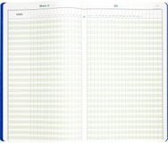 Piqure Exacompta Speciaal register Tijdsregistratie 40x24cm - 46 lijnen - 80 blad - Geassorteerd - 9340E
