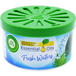 Air Wick Essential Oils Fresh Waters Gel Luchtverfrisser - 70 g