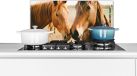 KitchenYeah Spatscherm keuken 60x30 cm - Paard - Strand - Dieren - Aluminium