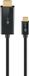 Goobay 75698 USB Type-C naar HDMI kabel - 3 meter - Zwart