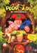 Plop Kabouter Plop Show - Plop En De Treitertrol DVD