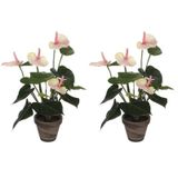 Mica Decorations Kunstplant Anthurium - 2x - lichtroze - 40 cm - in grijze pot